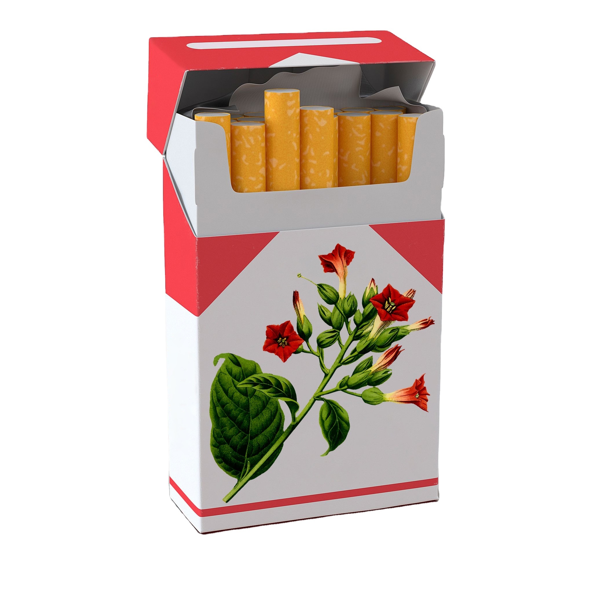 Custom Paper Empty Cigarette Packs Boxes Smoke Cigars Box Cartridge Packaging Cigarettes Carton Tobacco Empty Cigarette Box