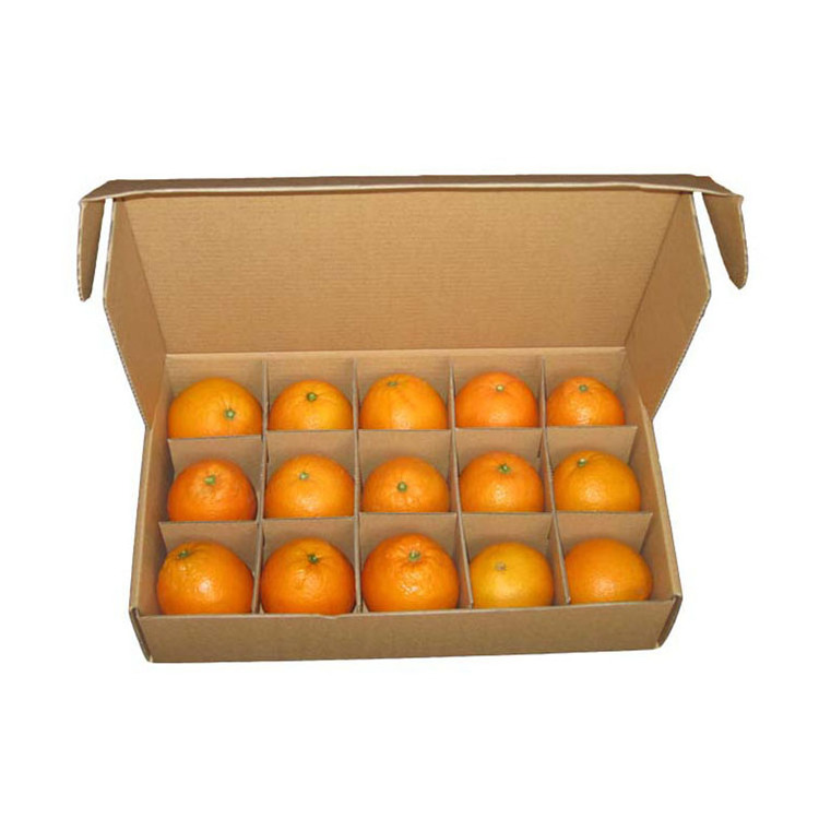 Custom Apple Orange Tangerine Fruit Mango Packing Corrugated Carton Box