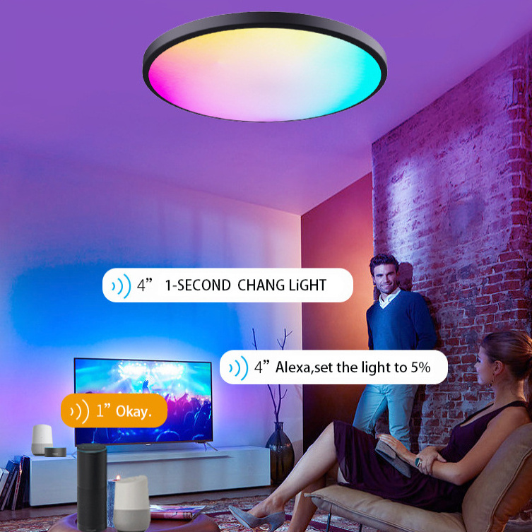 Smart Music Ceiling Light with BT Speaker RGB Flush Mount Smartphone APP Control Ceiling Lamp Fixture Kids Bedroom