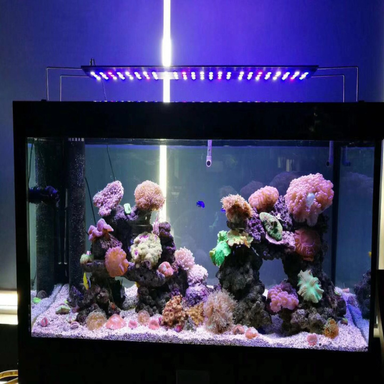 Full Spectrum Led Aquarium Grow Reef Lights for 48 inch Tank Rainforest Lamp Marine Fish Tank Aquarium Light