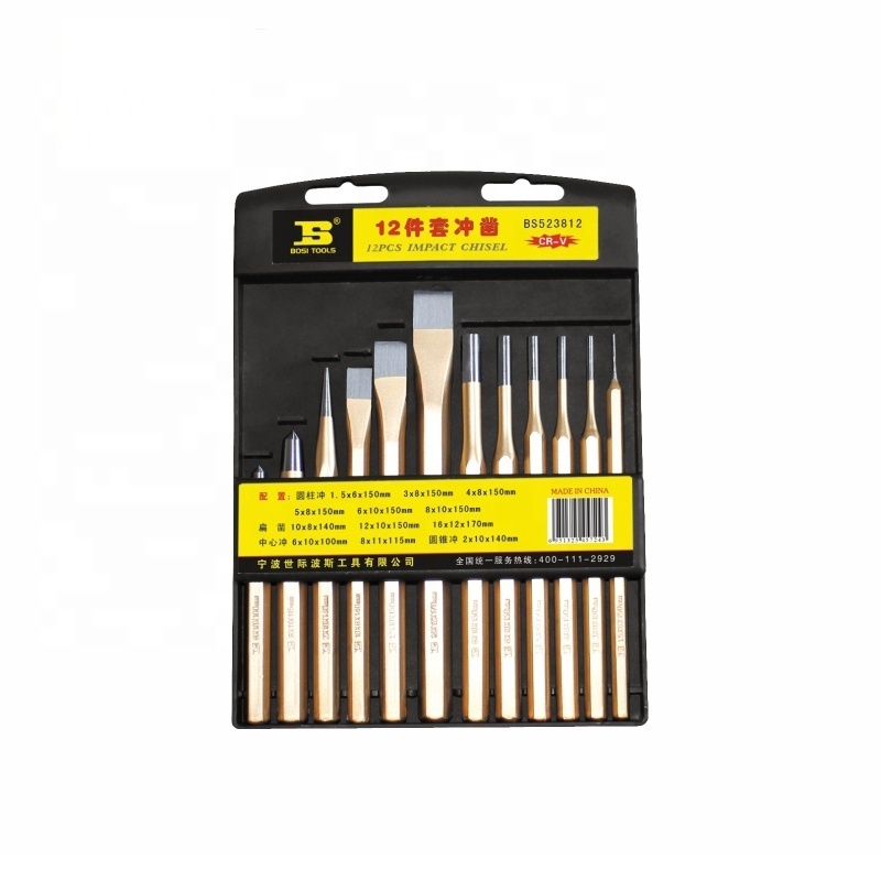 Professional 12 PCS Punch set Chisel Kit