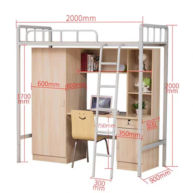 Steel Bunk Bed Loft with Wardrobe Desk and Locker for College Students Contemporary Adult Dormitory Apartment