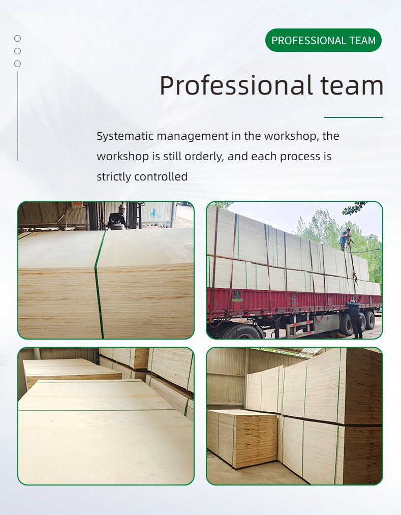 High Quality Wooden Plywood Various Thickness for Furniture Frame and Logistics Tray Non-Fumigation