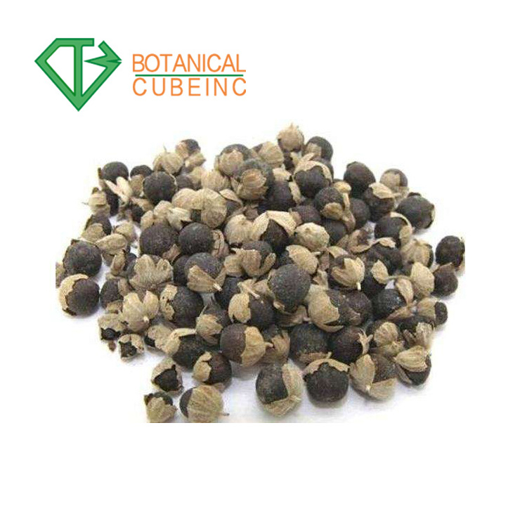 100% Natural 5% Vitexin Chaste tree berry P.E/ Vitex Agnus-castus Extract Powder/Chaste berry Extract