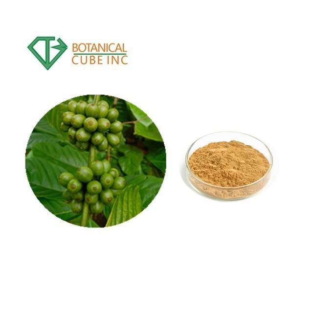 B.C.I SUPPLY Halal Green Coffee Bean Extract Weight Loss Foods High in Chlorogenic Acid Powder