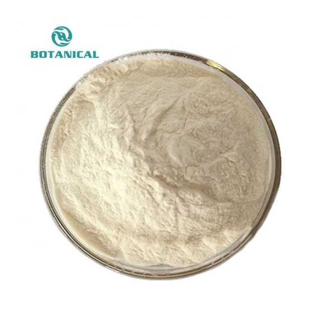 B.C.I Supply Wholesale Price Top-Quality Organic Soy Bean Isolate Protein Powder Hydrolyzed Soy Protein Isolate Powder