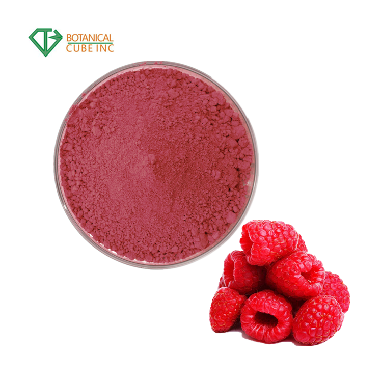 B.C.I Supply Pure Beverage & Foods Concentrate Powder Raspberry Extract Raspberry Juice Powder