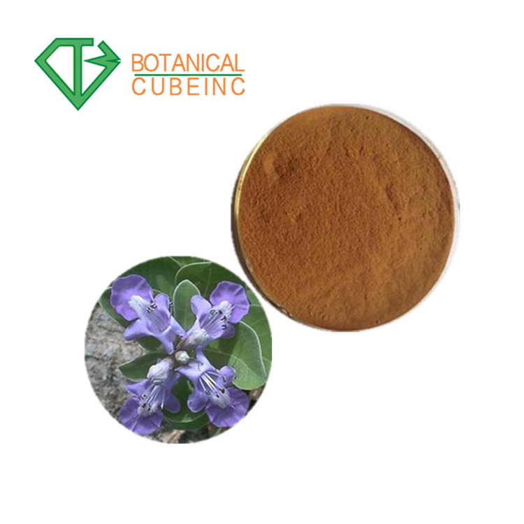 100% Natural 5% Vitexin Chaste tree berry P.E/ Vitex Agnus-castus Extract Powder/Chaste berry Extract