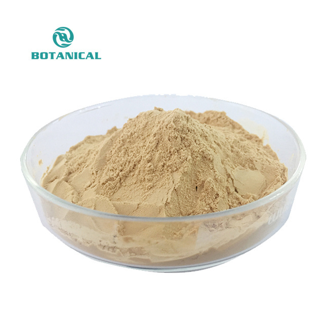 B.C.I Supply Natural Oat Beta Glucan Powder Avena Sativa Extract Oat Extract 70% Beta Glucan Powder