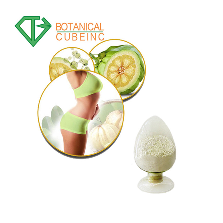 OEM Private Label Garcinia Cambogia Extract Powder 60% HCA Garcinia Cambogia Capsules For Weight Loss