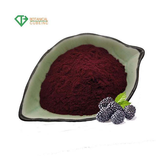 100% pure botanical black berry  extract anthocyanin blackberry fruit powder