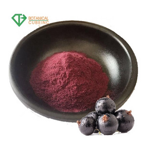 Food Grade Wholesale Bulk Organic Freeze Dried Blackcurrant Black Currant Extract Powder