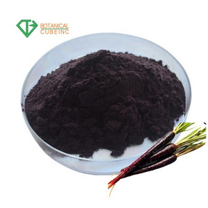 100% Natural Pure Daucus Carota Black Radish Extract Black Carrot Juice Concentrate Powder