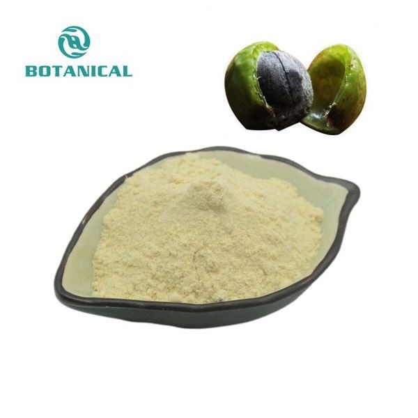 OEM Private Label Garcinia Cambogia Extract Powder 60% HCA Garcinia Cambogia Capsules For Weight Loss