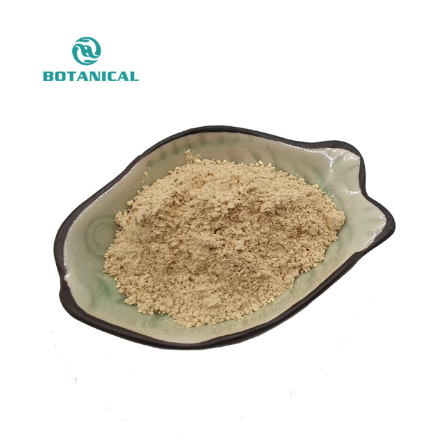 B.C.I Supply Food Additive Beta Glucanase Beta-Glucanase