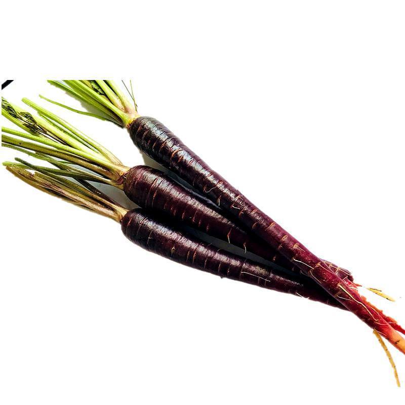 100% Natural Pure Daucus Carota Black Radish Extract Black Carrot Juice Concentrate Powder