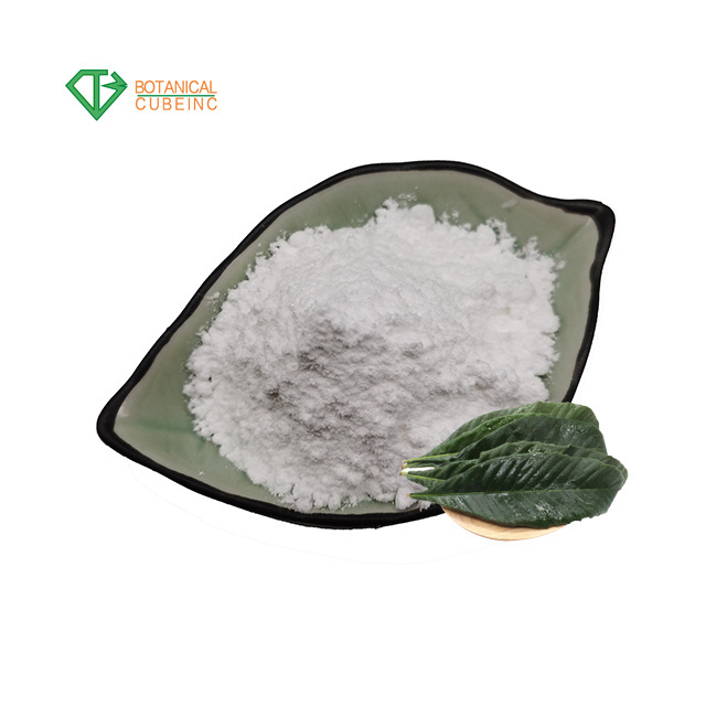 100% Pure Natural Loquat Leaf Extract Powder Ursolic Acid