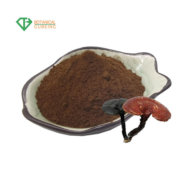 BCI Broken reishi ganoderma lucidum spore powder capsules red reishi spore powder extract from dry reishi mushrooms Boost Immune