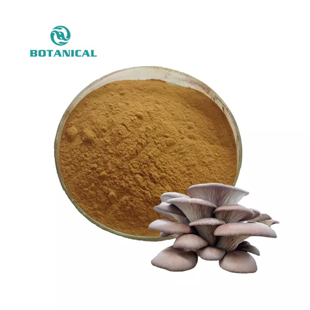 6 in 1 Powerful Mushroom Extract Blend Powder Lions Mane Cordyceps Reishi Chaga Turkey Tail Maitake extract 1kg