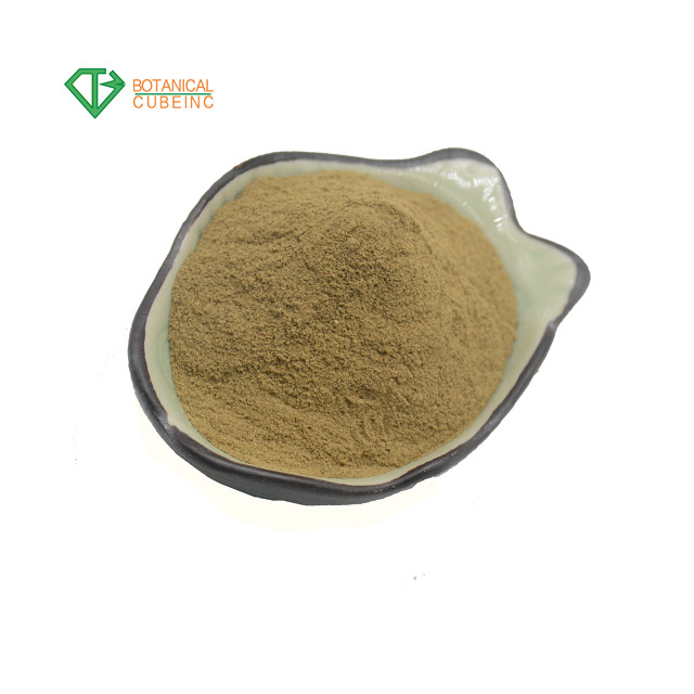 Wholesale Bulk Flax seed extract oil powder Linseed oil Omega-3 flaxseed gum