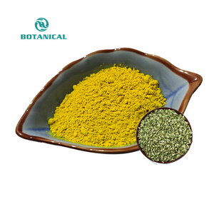 B.C.I Supply Pure Natural Quercetin 98% Powder Quercetin Capsule in Sophora Japonica Extract