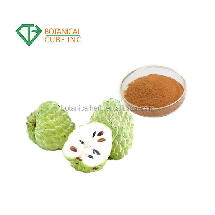 Factory Supply Graviola fruit Extract Soursop Powder Banaba Leaf Extract