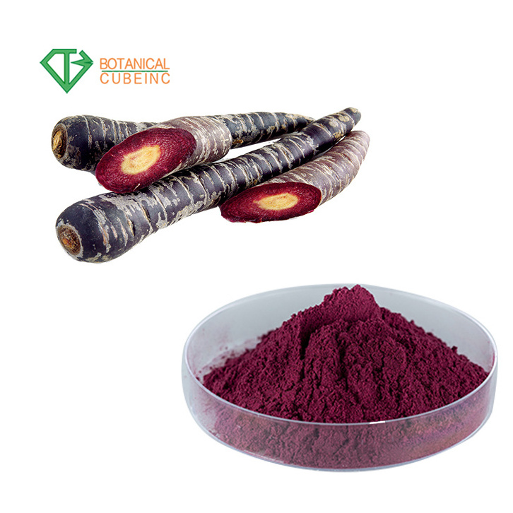 100% Natural Pure Daucus Carota Black Radish Extract Black Carrot Juice Concentrate Powder