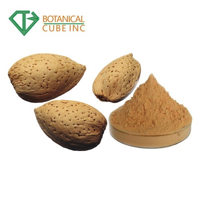 B.C.I Supply Fruit Extract Amygdalus Persica Seeds Extract Peach Kernel Extract Peach Powder