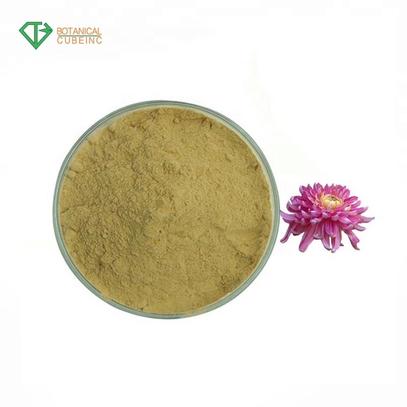 Natural Pyrethrum Insecticide Chrysanthemum morifolium herb Extract 25% Pyrethrin 50 Powder