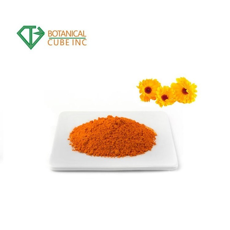 B.C.I Supply High Quality Marigold Flower Extract 5% Lutein and Zeaxanthin Marigold Extract Powder