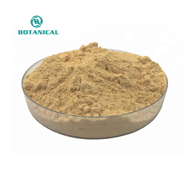 B.C.I Aesculus hippocastanum castanea sativa European tree horse chestnut extract powder aescin escin chestnut leaf extract