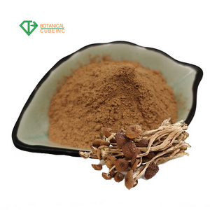 B.C.I Supply Wholesale Price Agrocybe aegerita extract, Agrocybe cylindracea extract, Tea tree mushroom