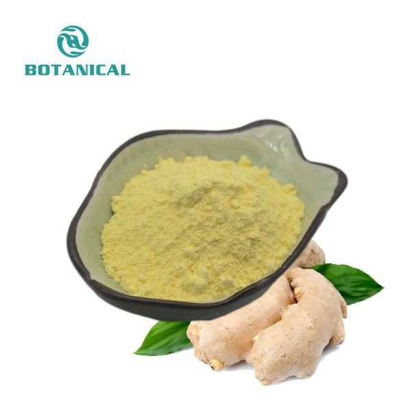 Wholesale Price Ginger Root Extract Powder Zingiber Officinale 5%-40% Gingerols