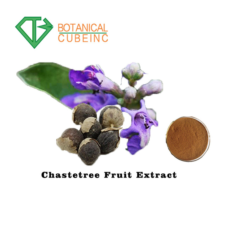 100% Natural 5% Vitexin Chaste tree berry P.E/ Vitex Agnus-castus Extract Powder/Chaste berry Extract