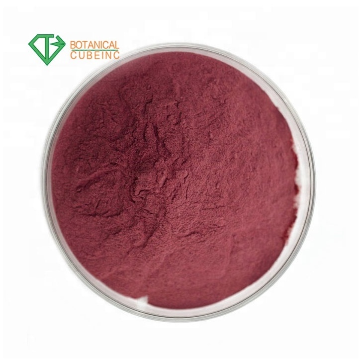 100% Pure Aronia melanocarpa (Michx.) Elliott Aronia Extract Powder Aronia Berry Powder