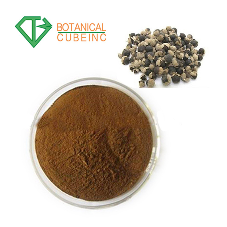 100% Natural 5% Vitexin Chaste tree berry P.E/ Vitex Agnus-castus Extract Powder/Chaste berry Extract