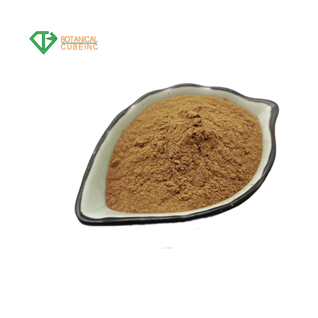 B.C.I Supply Wholesale Price Agrocybe aegerita extract, Agrocybe cylindracea extract, Tea tree mushroom