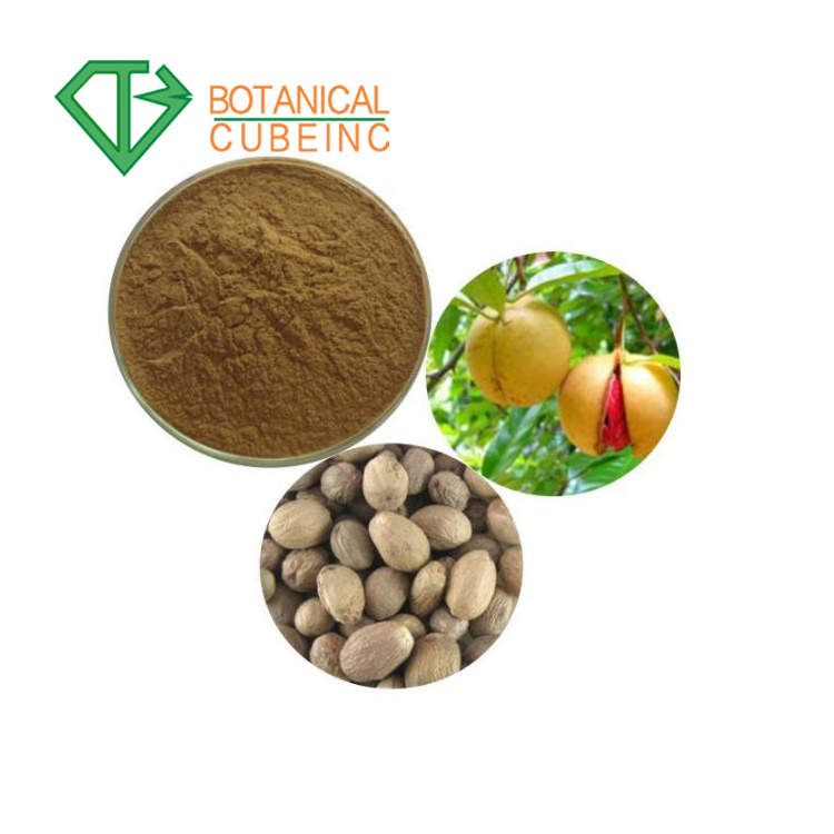 B.C.I Supply Wholesale Natural Nutmeg Extract Myristica Fragrans Extract Myristicin Powder Nutmeg Oil