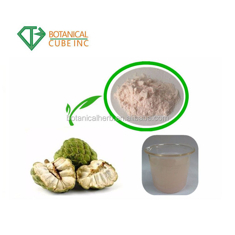 Factory Supply Graviola fruit Extract Soursop Powder Banaba Leaf Extract