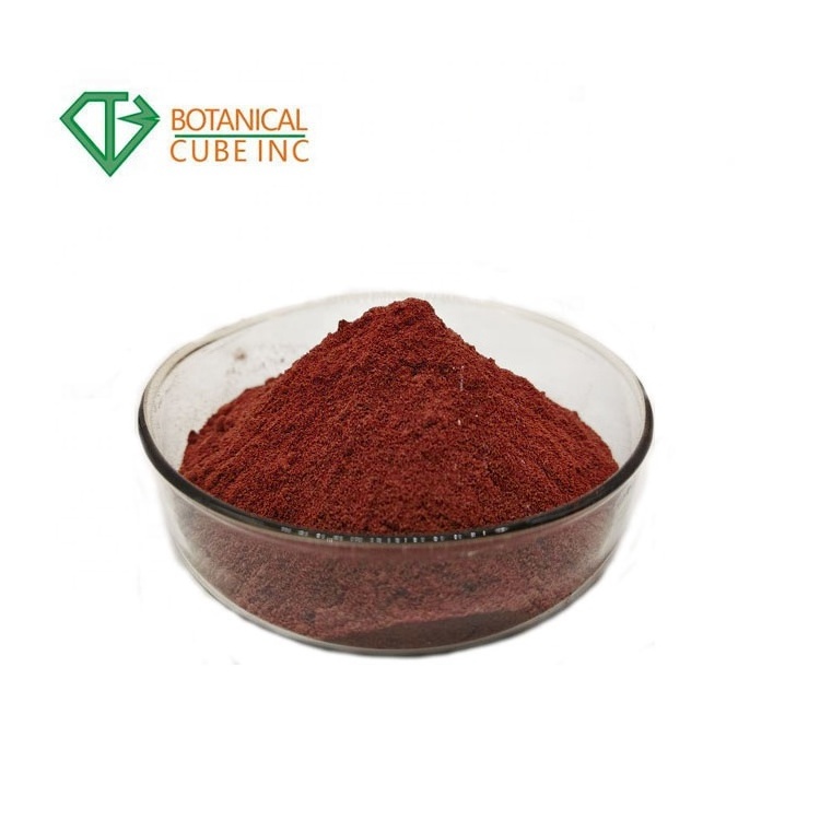 B.C.I Supply Factory Price Natural Marine Red Algae Extract Powder