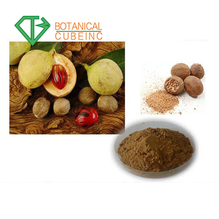 B.C.I Supply Wholesale Natural Nutmeg Extract Myristica Fragrans Extract Myristicin Powder Nutmeg Oil