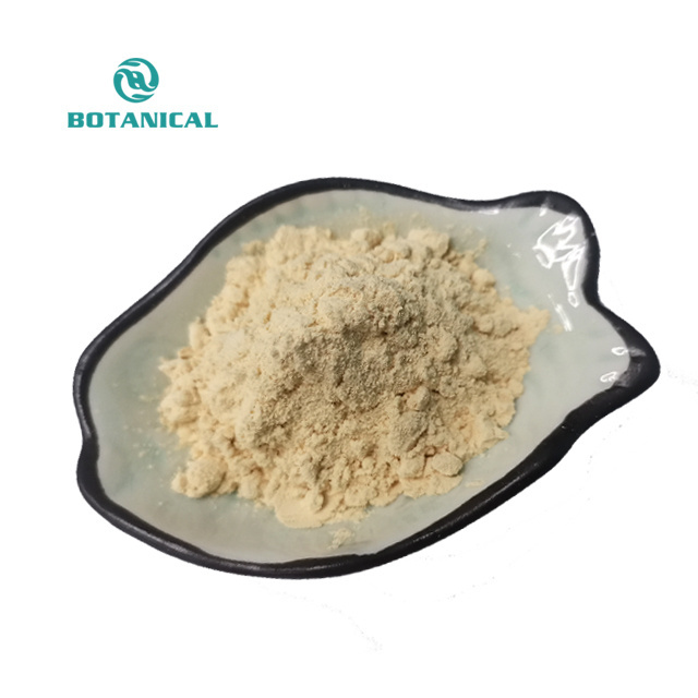 B.C.I Supply Natural Oat Beta Glucan Powder Avena Sativa Extract Oat Extract 70% Beta Glucan Powder