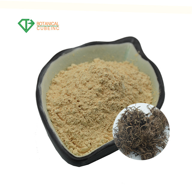 High quality Cyanotis Arachnoidea Extract 60%-98% beta ecdysterone powder