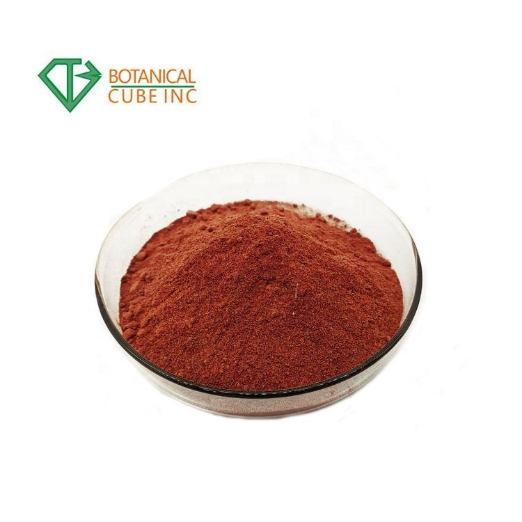 B.C.I Supply Factory Price Natural Marine Red Algae Extract Powder