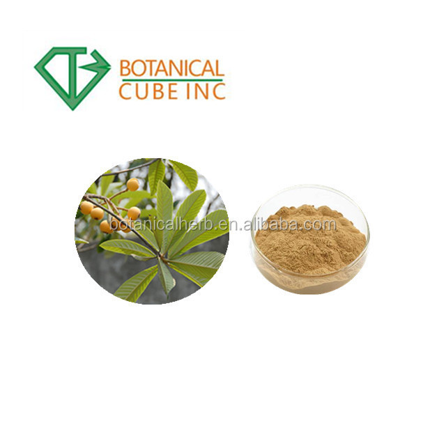 100% Pure Natural Loquat Leaf Extract Powder Ursolic Acid