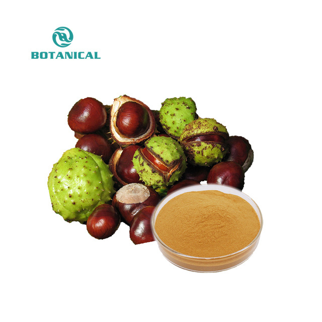 B.C.I Aesculus hippocastanum castanea sativa European tree horse chestnut extract powder aescin escin chestnut leaf extract