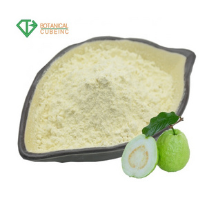 Psidium guajave guava leaf extract juice powder fruit powder guava powder from guayaba