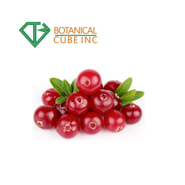 Good quality Cranberry Extract Powder Cranberry Extract 25% Proanthocyanidins