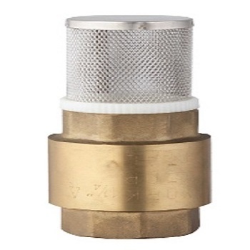 BT5007  brass Swing check valve