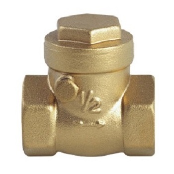 BT5007  brass Swing check valve